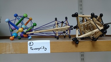 Tensegrity Thesis Model